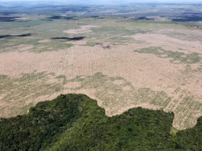 Who Holds the Power to Preserve Indigenous Cultures?